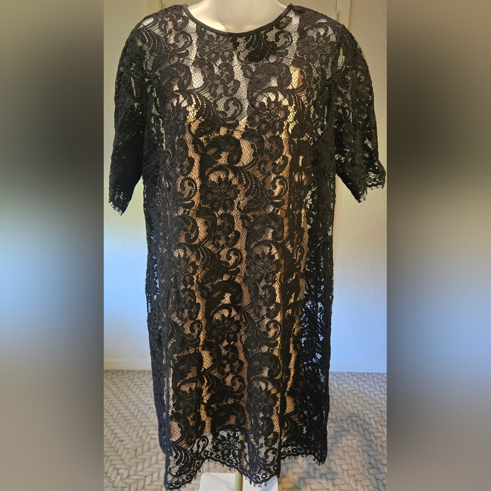 Wilfred Artrizia Black Lace Shift Dress